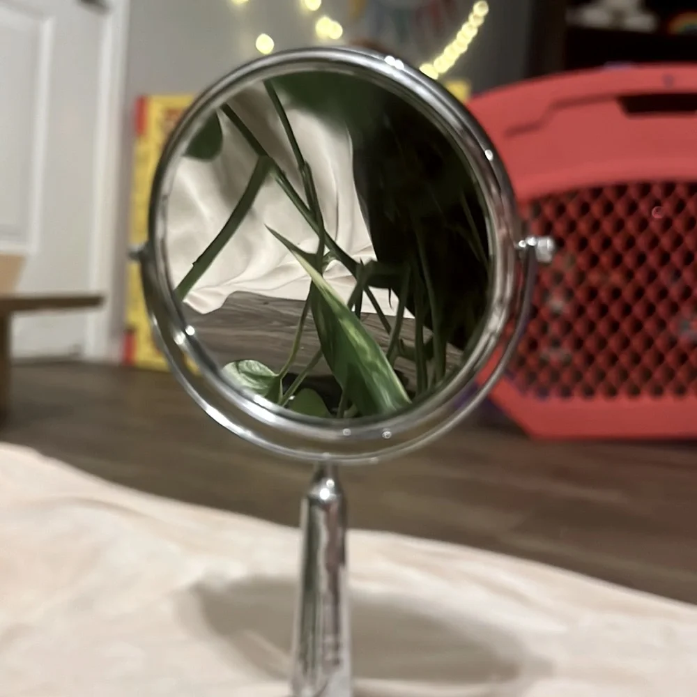 Dual Makeup Vanity Mirror